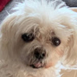 Meet your Posher, Jerilyn